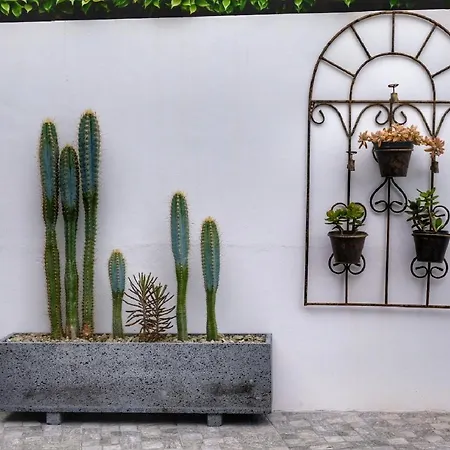 Apartment Casa Pacheco *